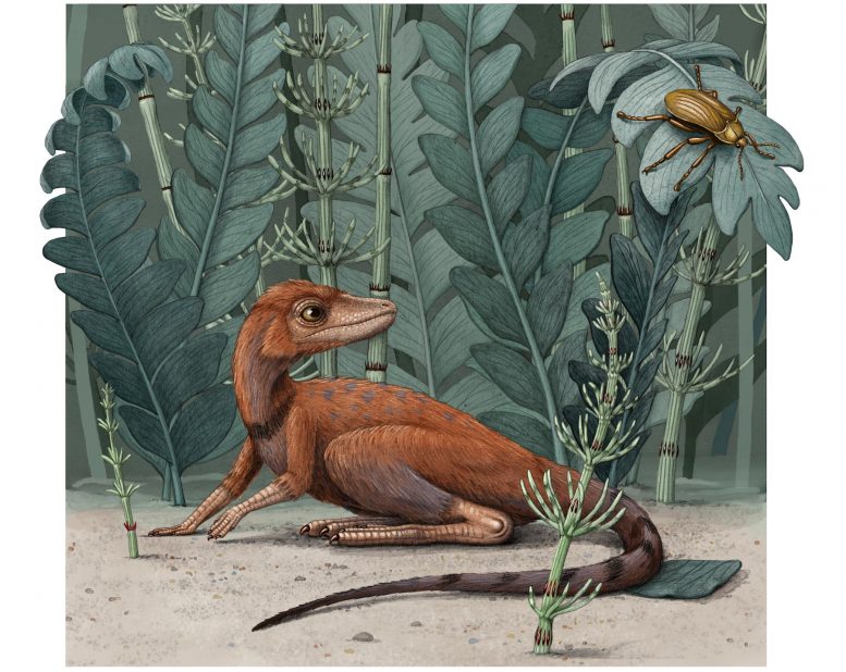 在马达加斯加发现的恐龙和翼龙的微小古代亲戚