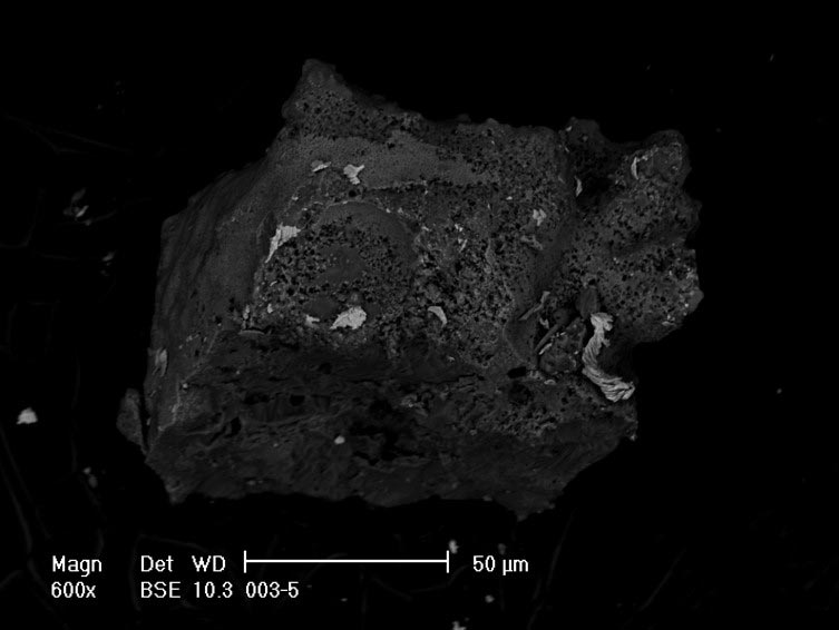 新技术使其更容易，更便宜，更快速地分析珍贵的南极微陨石