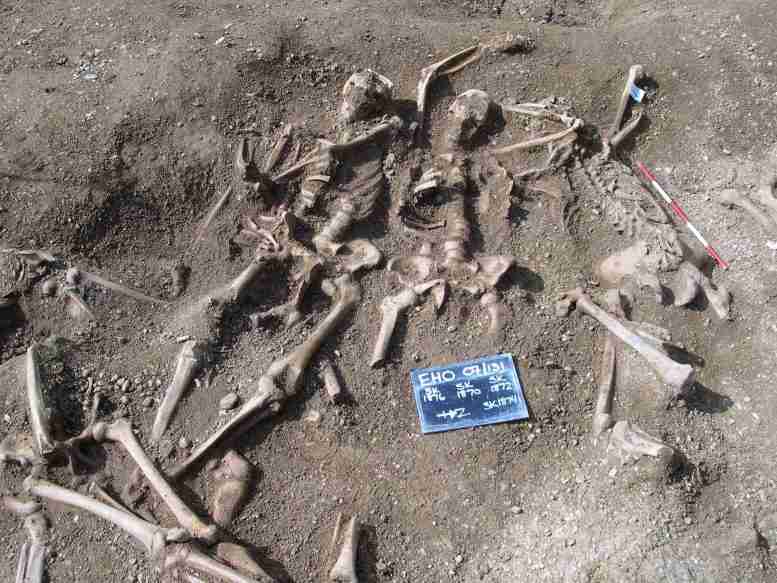 来自大众墓地的骷髅中的DNA提供了维京时代的Smallpox的证据