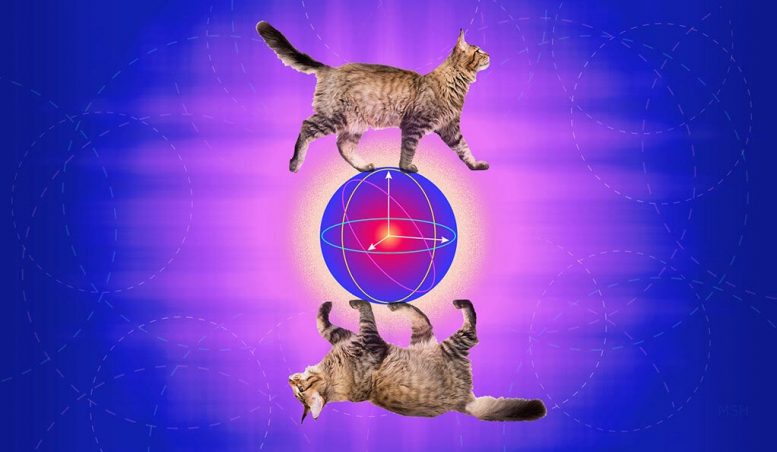 Quantum研究人员创建了一个纠错猫 - 新设备与Qualum纠错
