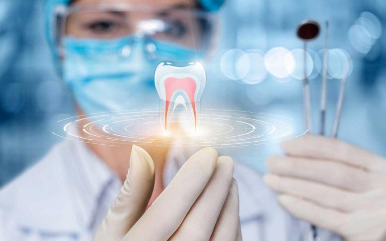 再生牙科突破：受损牙齿的生物疗法