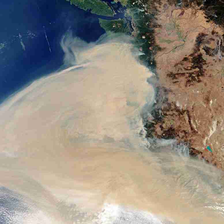 西海岸野火的惊人卫星图像显示波特兰，尤里卡，尤金，旧金山和萨克拉曼多被烟雾所笼罩