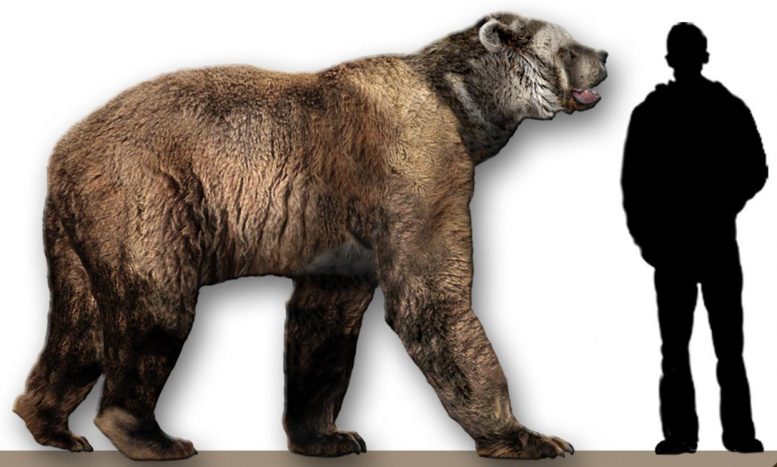 可怕的2000英镑兽：在加州峡湾群岛发现13,000岁的骨头的谜团