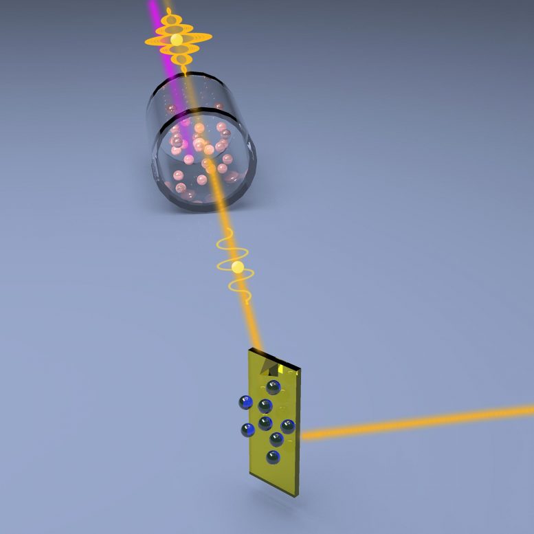 量子增强的原子力显微镜：挤压灯可降低噪音