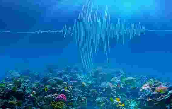 加州理工学院的地震创新利用海底地震来撼动气候科学