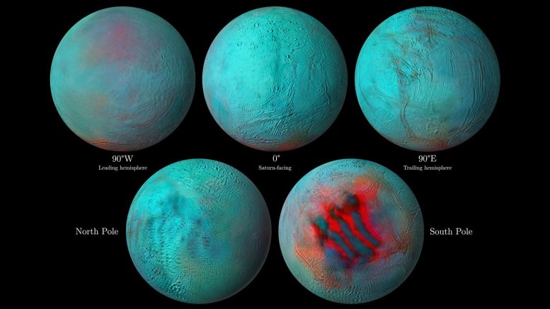 土卫二的红外眼：土星月球北半球的新鲜冰块提示