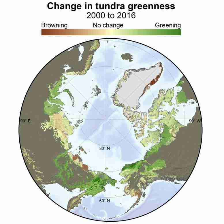 通过NASA卫星研究了北极苔原上的快速绿化–“确实是全球气候变化的领头羊”
