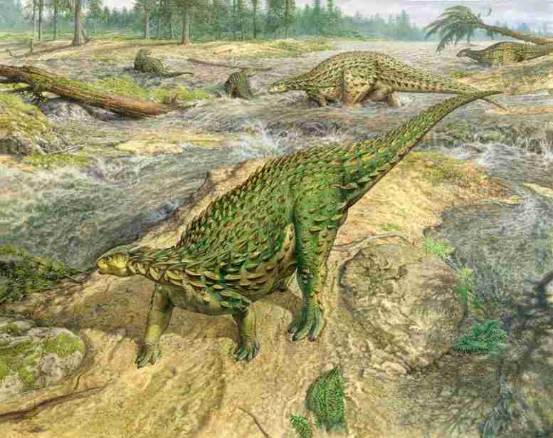 最后的特写：发现的第一个完整的恐龙骨架已经准备就绪
