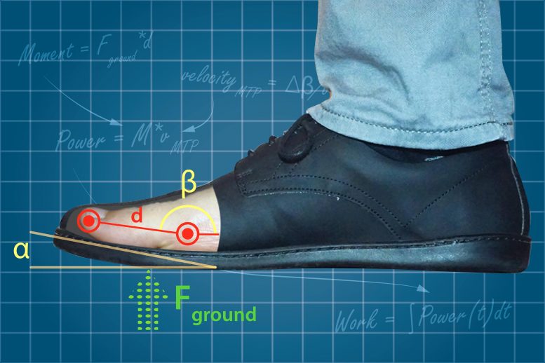 大多数鞋子的“趾头弹簧”可能会导致肌肉减弱和与脚相关的疼痛问题