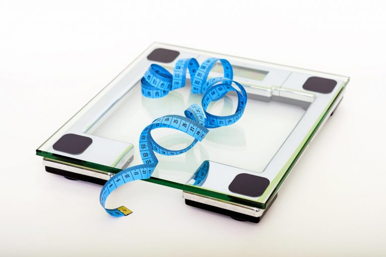 BMI是糖尿病的强大风险因素，而不是遗传 - 减肥可以预防甚至逆转糖尿病