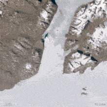 斯帕尔特冰川崩解了：一块最大的北极冰架破碎成小冰山的一个小舰队