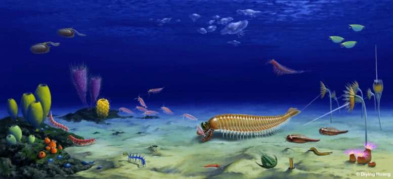 五眼520万亿岁的化石揭示了节肢动物起源