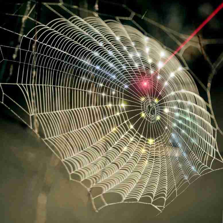 创新旋转蜘蛛网架构成为3D生物医学成像技术