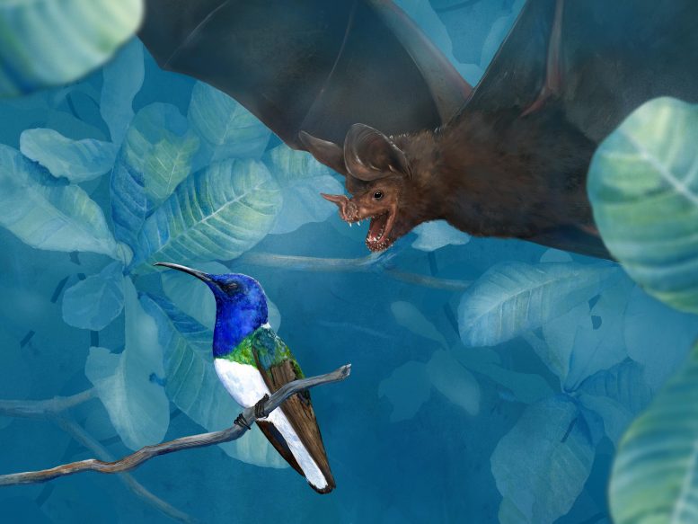 船尾充满秘密：嘴唇边缘蝙蝠便中的DNA揭示了意外的饮食习惯