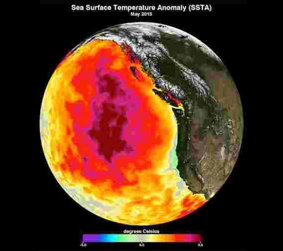 海洋热浪是人为造成的，发生频率是过去的20倍以上