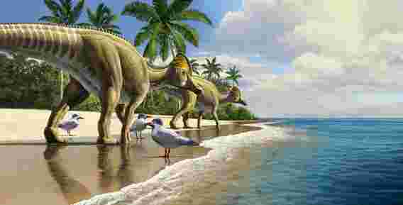 恐龙一旦穿越海洋：在非洲发现的第一只鸭嘴兽恐龙化石