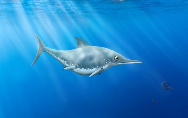 在英吉利海峡海岸发现的史前神秘“海龙”被确定为新物种