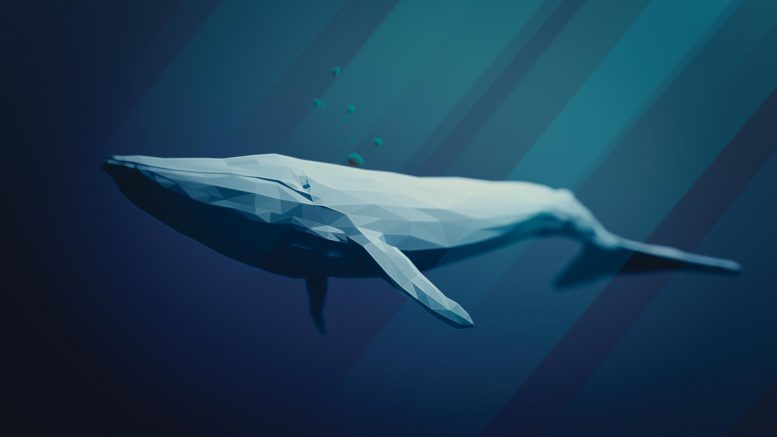 50年前从灭亡后濒临灭绝之后，蓝鲸回到佐治亚州
