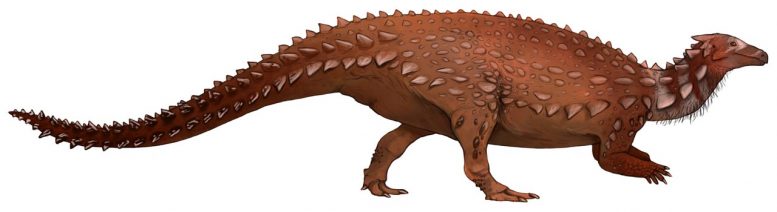 侏罗纪scelidosaurus harrisii：只有恐龙骨头在爱尔兰发现