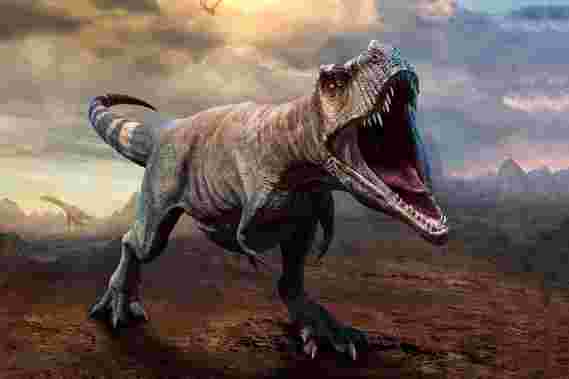 来自化石骨骼的生长戒指揭示了雷克斯巨大的增长刺激，但其他恐龙生长了“缓慢而稳定”