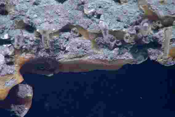 海底甲烷的逃生路线：冻结层的令人费解的泄漏解释