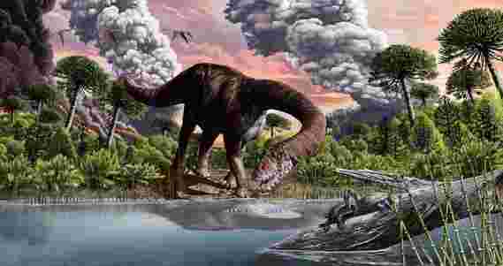 有些像它很热：全球变暖引发了巨型恐龙的演变