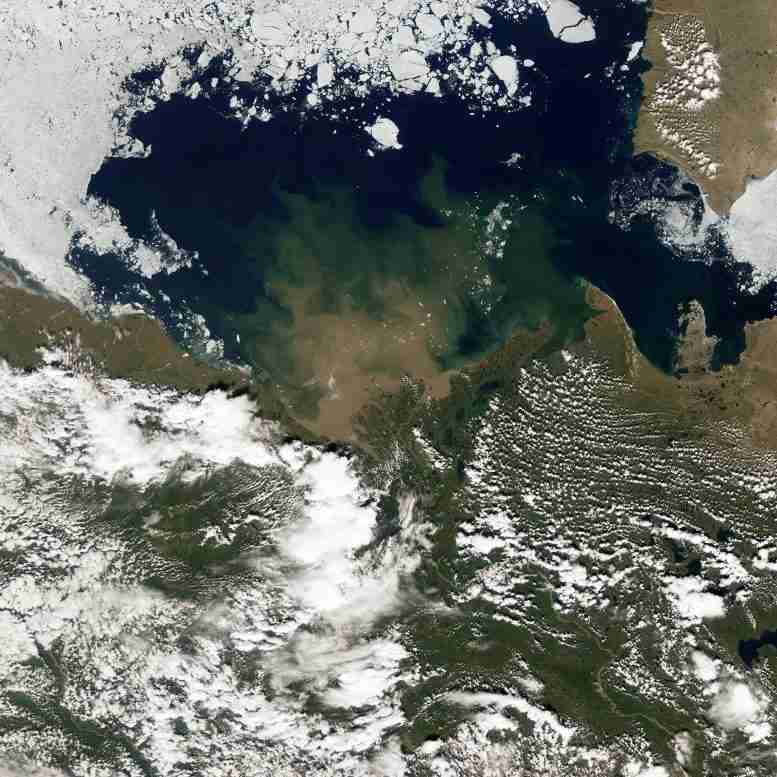 北极河流的热量增加正在使北冰洋的海冰融化并使大气变暖