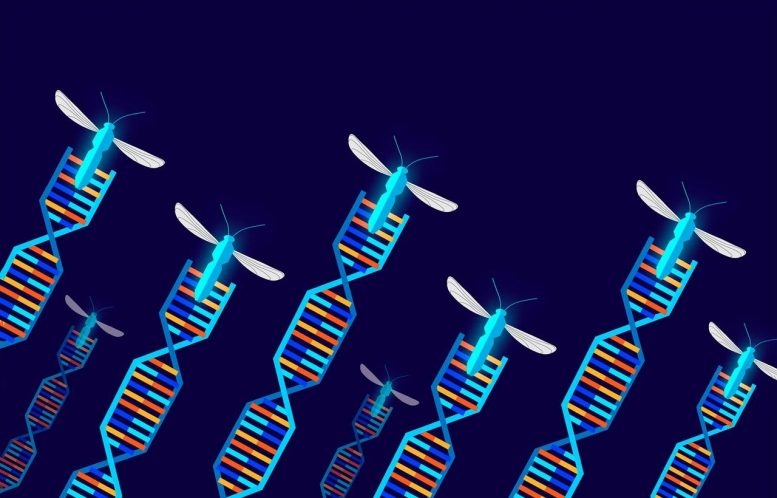 基因工程生物：用于基因驱动生物的现场试验的路径