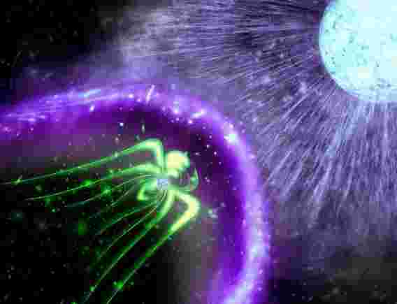 我们的Galaxy最亮的伽马射线二进制系统可以由磁场明星提供动力