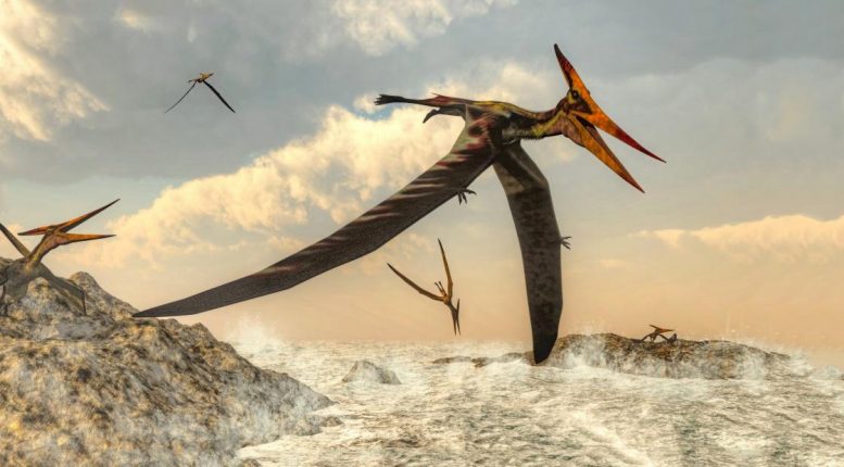 飞行的原始故事：翼龙前体发现，早期进化史上填补了差距
