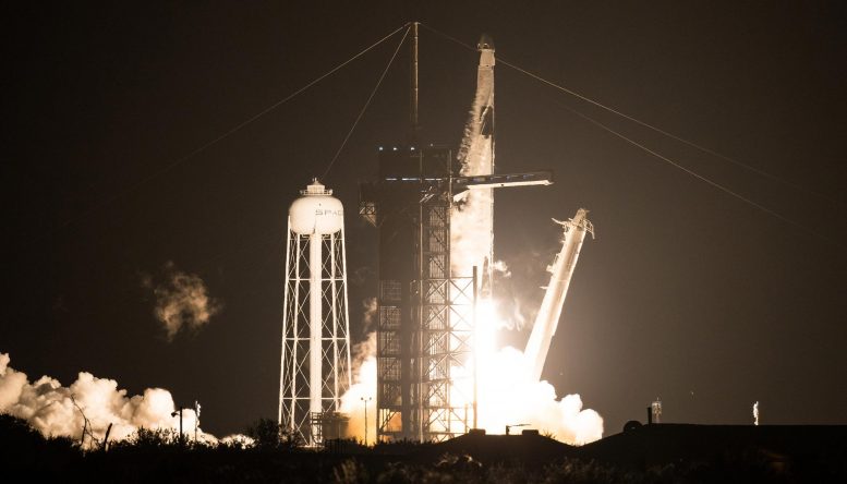 猎鹰9号成功发射使NASA的SpaceX Crew-1宇航员登上国际空间站。
