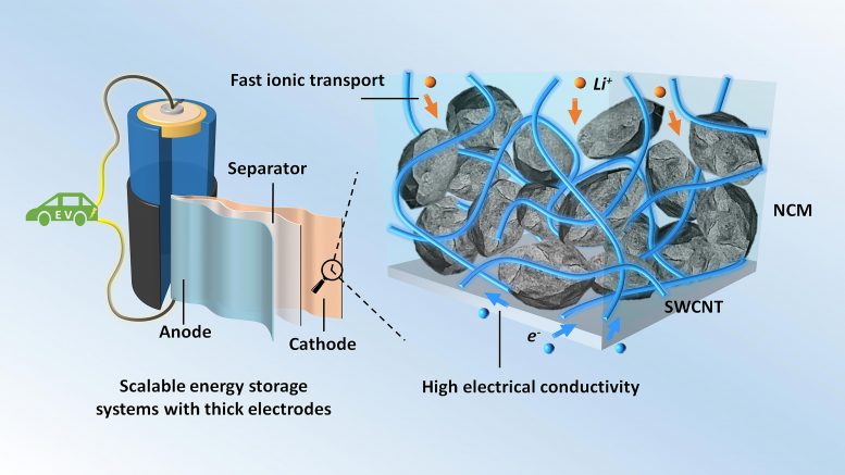 使用碳填充剂改善高能锂离子电池