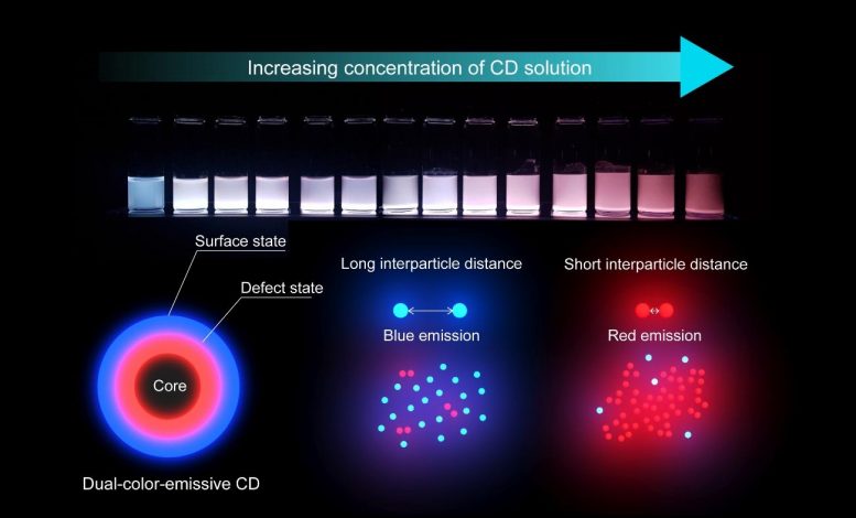 使用碳点纳米粒子从单一光源发出的多个波长的光