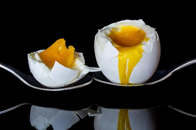 警告：与糖尿病有关的鸡蛋过量消耗