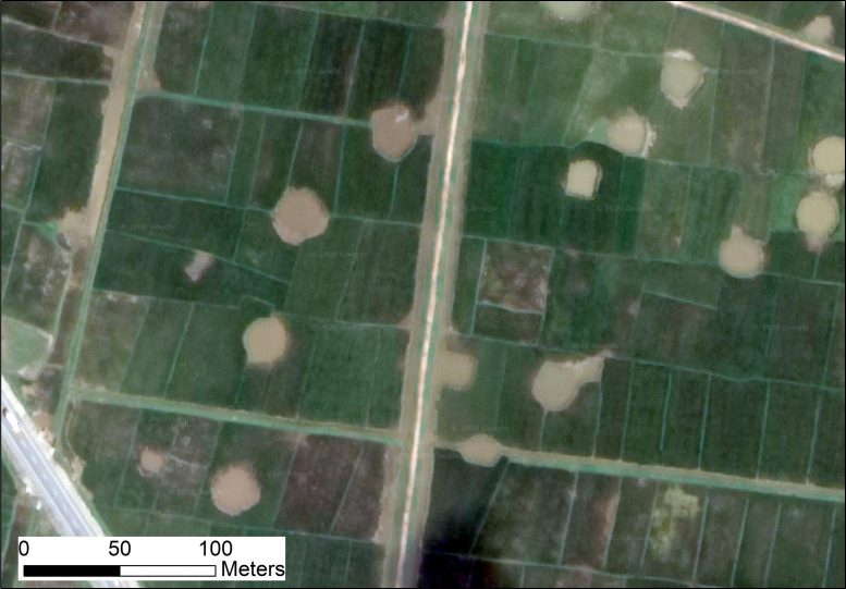 冷战间谍卫星图像如何允许科学家分析历史生态变化