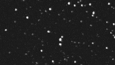 小而明亮的惊喜：放牧彗星的两种观点