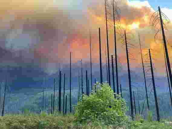 气候变化：俄勒冈州的西部小瀑布流域将经历更大，更频繁的大火