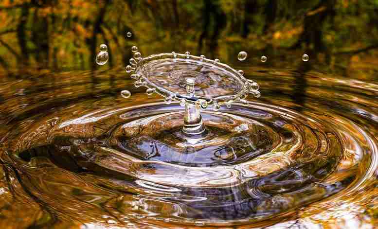 存在两种截然不同的液态水，均由H2O分子制成