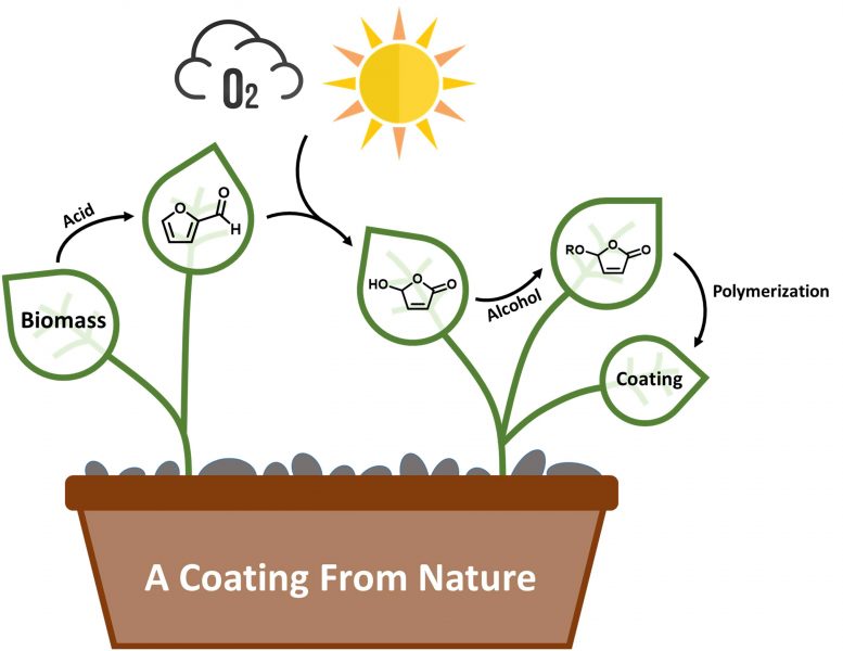 绿色化学从大自然中创造涂层：将生物质转化为高品质涂料