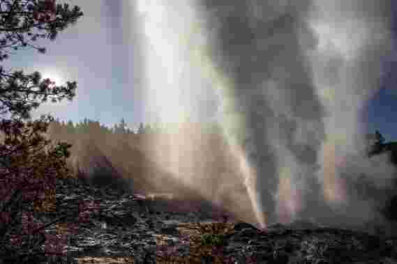 重新唤醒的汽船间歇泉是否是爆炸性黄石火山爆发的预兆？