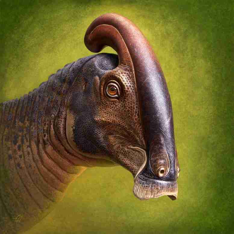 下颚滴新恐龙头骨发现揭示了奇异嵴的演变