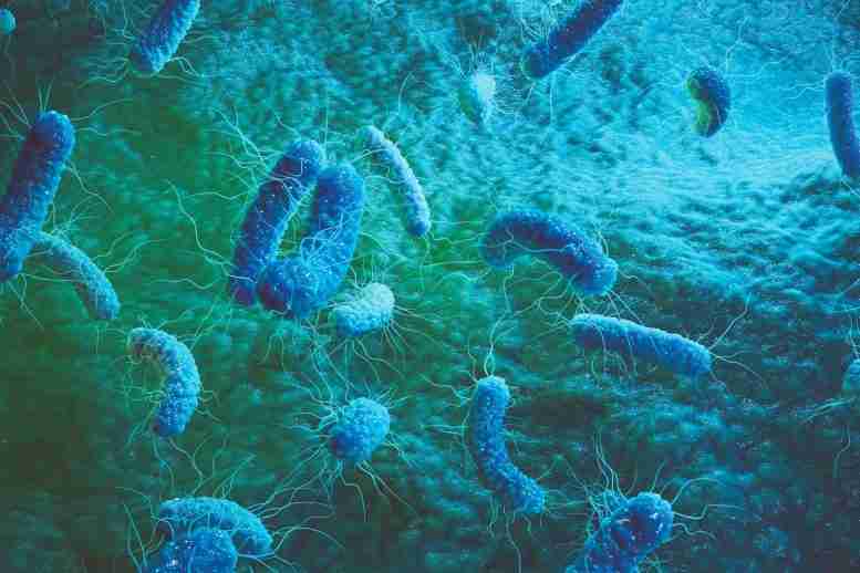 新一类双效抗生素对各种细菌有活性