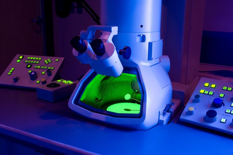 新的电子显微镜技术首先立即查看先前隐藏的流程