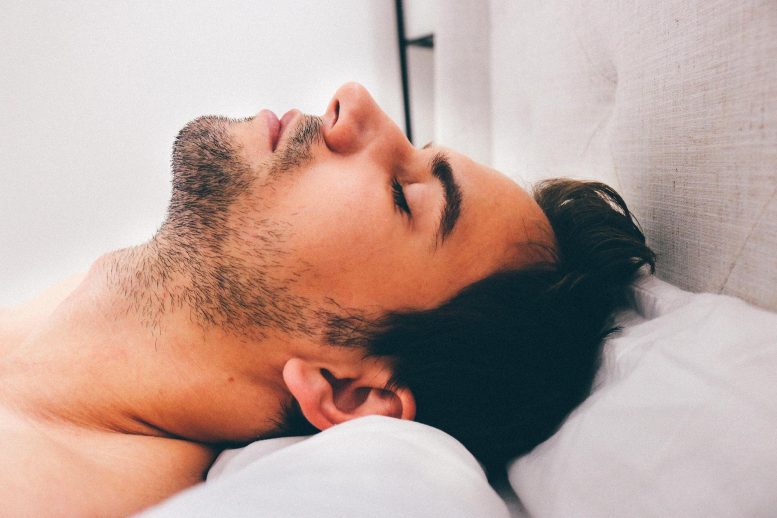 研究人员发现睡眠时大脑如何使您瘫痪