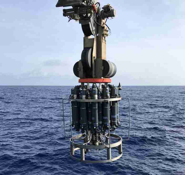 一个令人惊讶的周期：研究人员在世界海洋中发现了一个巨大的碳氢化合物循环