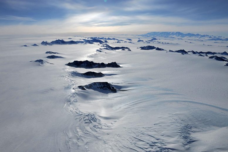 在南极冰下的沉淀湖中潜伏在沉淀湖中的意外的生活