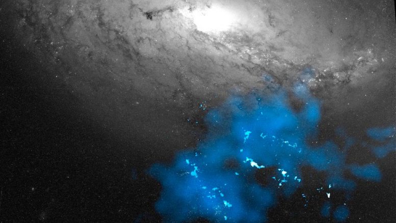 潮汐矮星的分子气体的观察揭示恒星形式