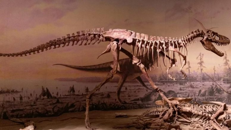 十几岁的“暴君”（食肉恐龙）是否解释了恐龙多样性的不足？
