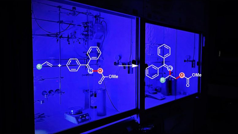 化学家利用蓝光成功合成了氨基醇