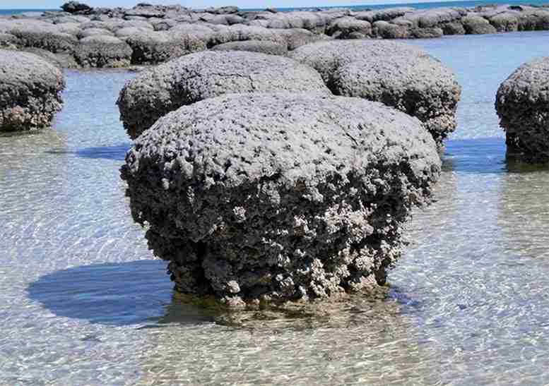 基质岩–地球上最早的生命的化石–可能会感染病毒